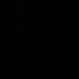 Meet your Posher, Tyrese